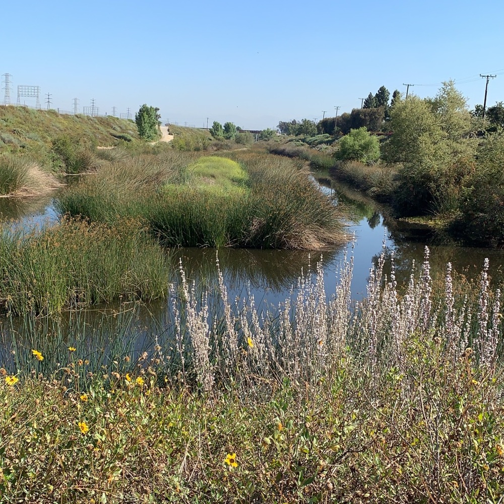 Meet your Posher, Daisy